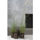 Round BACSAC Pot 